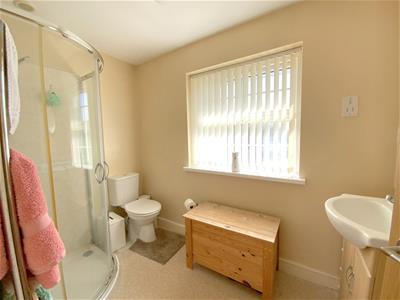 Picture 14
